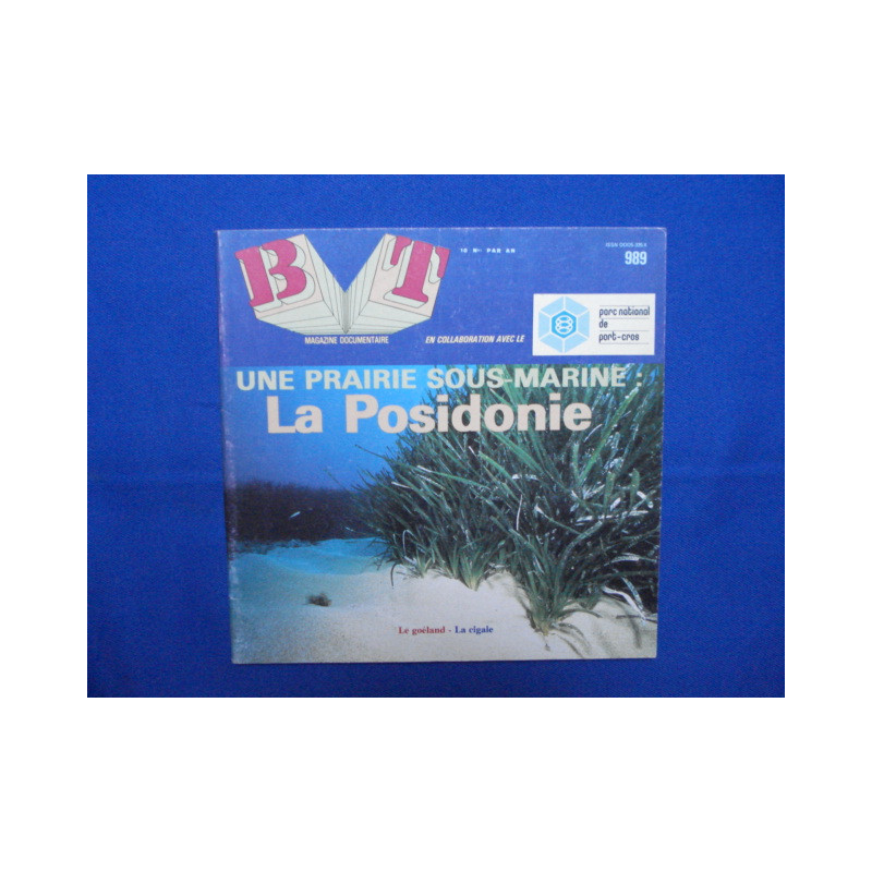 Une Prairie sous- marine: La Posidonie
