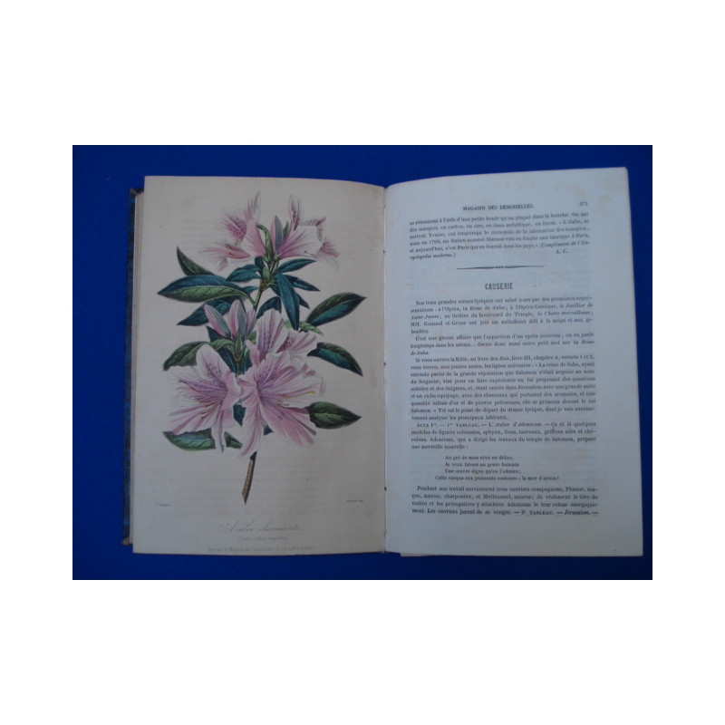 Magasin des demoiselles