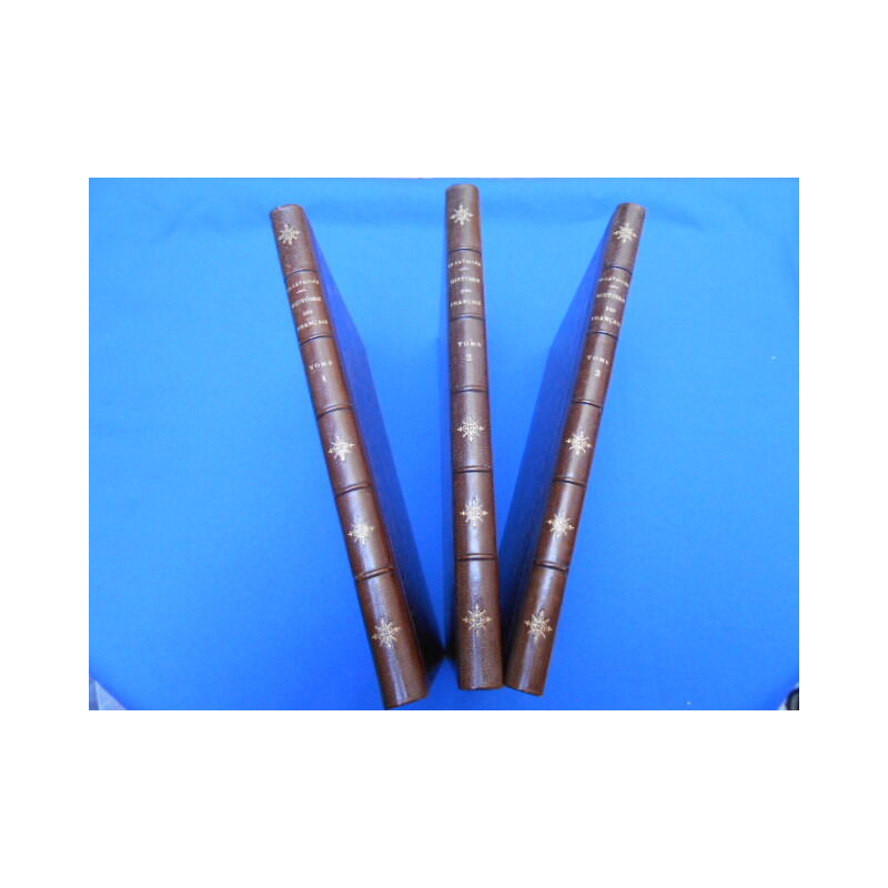 Histoire des Français depuis les temps les plus reculés jusqu'à la...