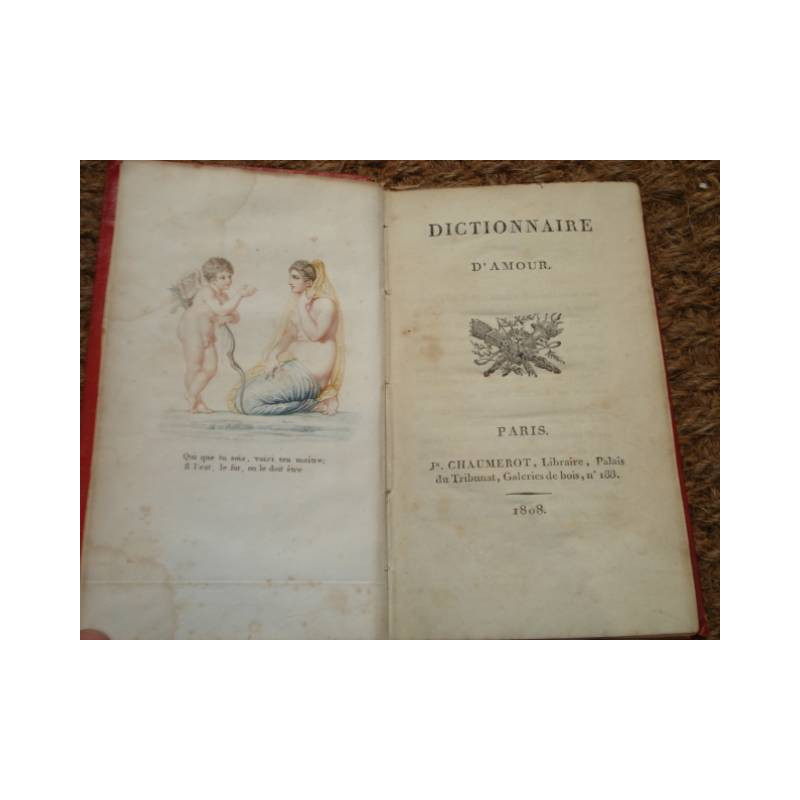 Dictionnaire d'Amour