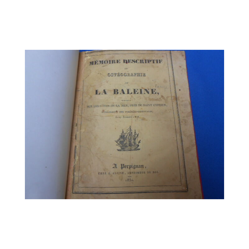 Mémoire descriptif et Ostéographie de la Baleine échouée sur les...