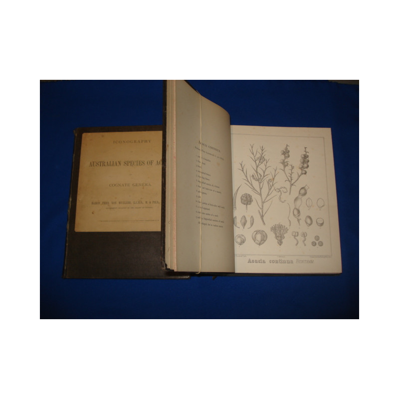 Iconography of Australian Species of Acacias