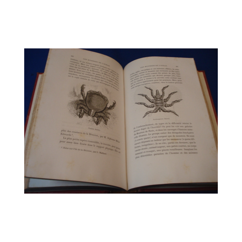 Les Mystères de l'Océan