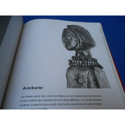 Sculptures africaines. Les univers artistiques des tribus...